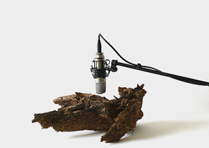 Listening Room